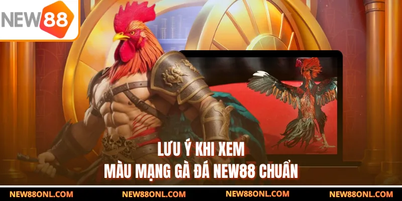 Lưu ý khi xem màu mạng gà đá NEW88 chuẩn