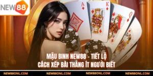 Mậu Binh NEW88 - Tiết Lộ Cách Xếp Bài Thắng Ít Người Biết