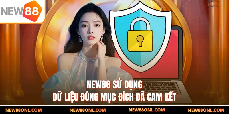 NEW88 sử dụng dữ liệu đúng mục đích đã cam kết